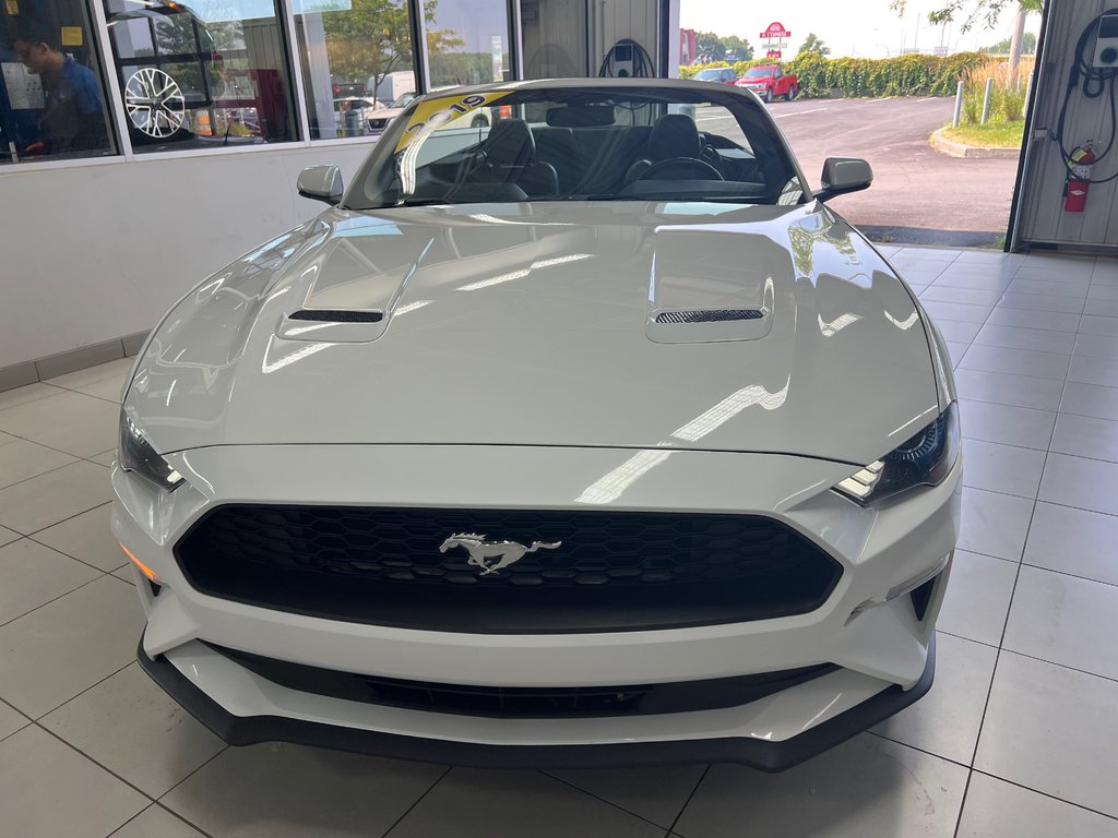 2019 Ford Mustang convertible Premium manuel in Boucherville, Quebec - 3 - w1024h768px