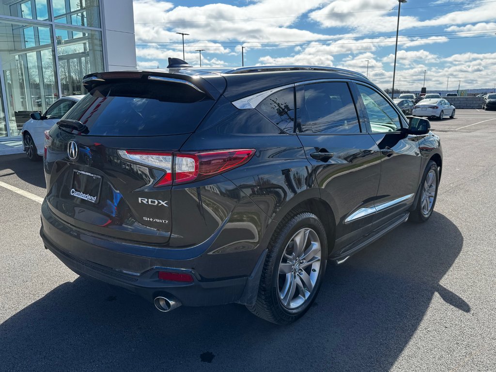 2019 Acura RDX PLATINUM ELITE in Amherst, Nova Scotia - 9 - w1024h768px
