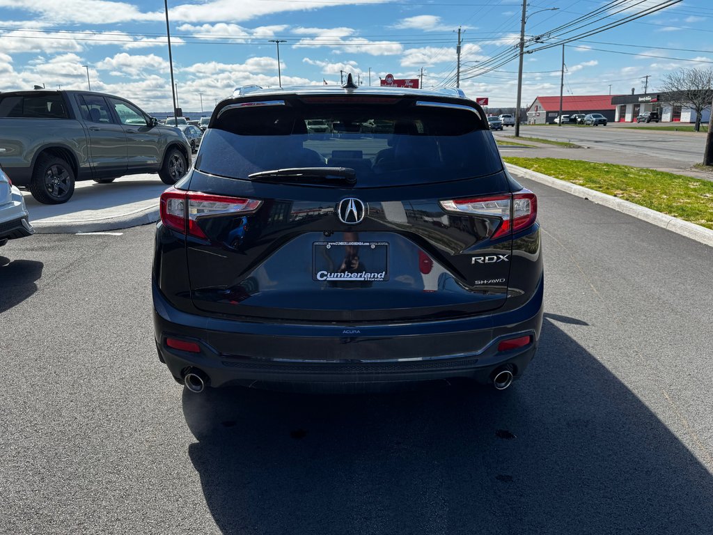 2019 Acura RDX PLATINUM ELITE in Amherst, Nova Scotia - 10 - w1024h768px