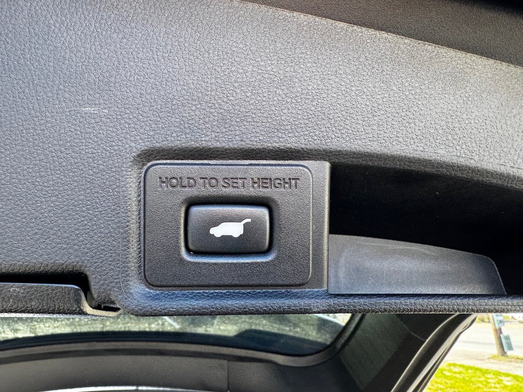 2019 Acura RDX PLATINUM ELITE in Amherst, Nova Scotia - 12 - w1024h768px