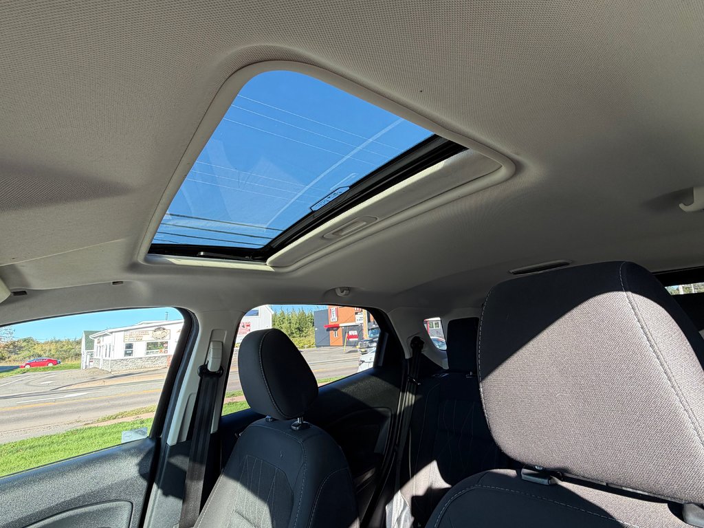 2019 Ford ECOSPORT SE in Amherst, Nova Scotia - 12 - w1024h768px