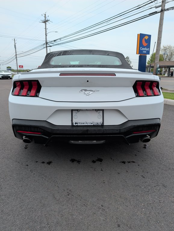 2025 Ford MUSTANG ECOBOOST in Amherst, Nova Scotia - 6 - w1024h768px