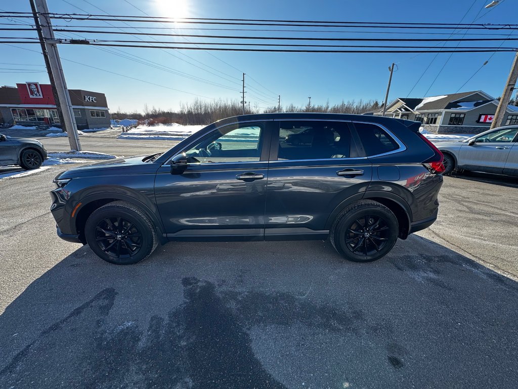 Honda CR-V HYBRID EX-L 2024 à Amherst, Nouvelle-Écosse - 5 - w1024h768px
