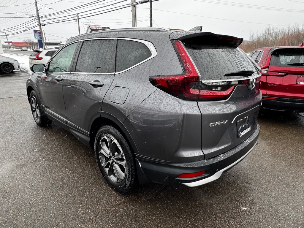 Honda CR-V EX-L 2022 à Amherst, Nouvelle-Écosse - 6 - w1024h768px