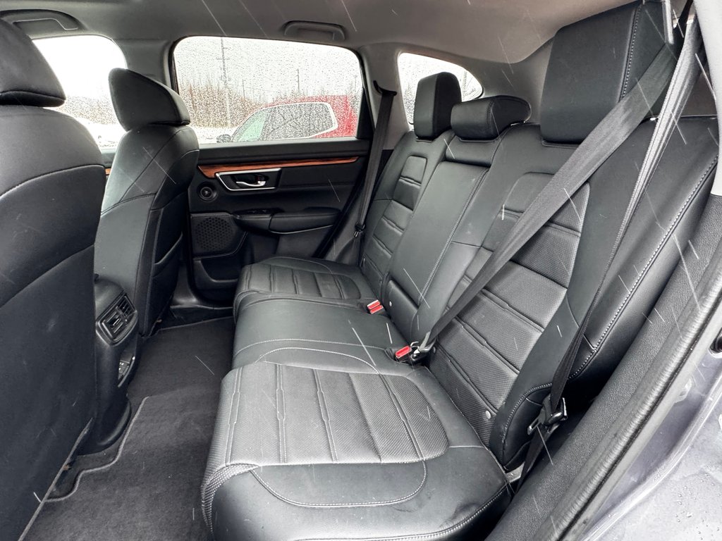 Honda CR-V EX-L 2022 à Amherst, Nouvelle-Écosse - 11 - w1024h768px