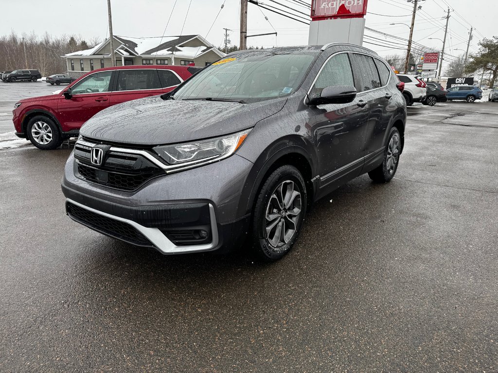 Honda CR-V EX-L 2022 à Amherst, Nouvelle-Écosse - 4 - w1024h768px