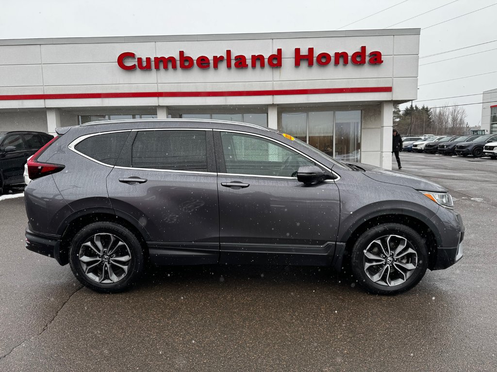 Honda CR-V EX-L 2022 à Amherst, Nouvelle-Écosse - 1 - w1024h768px