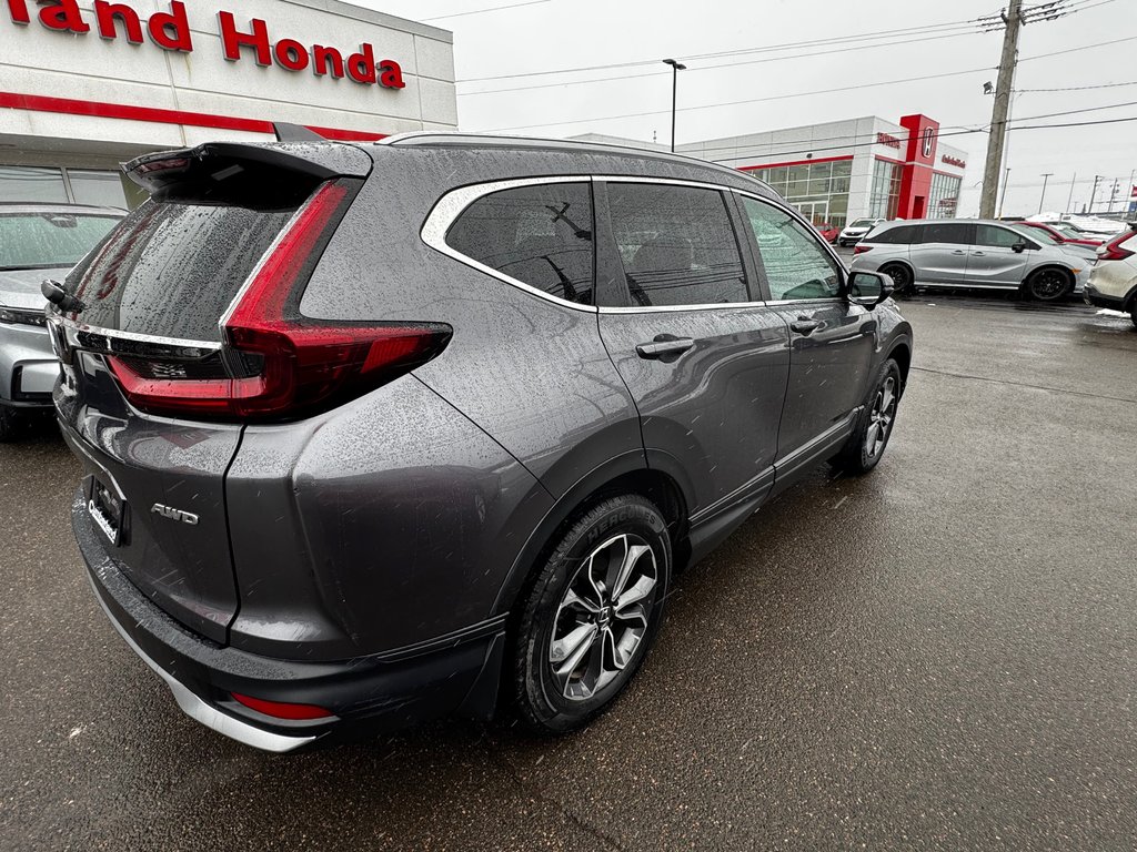 Honda CR-V EX-L 2022 à Amherst, Nouvelle-Écosse - 7 - w1024h768px