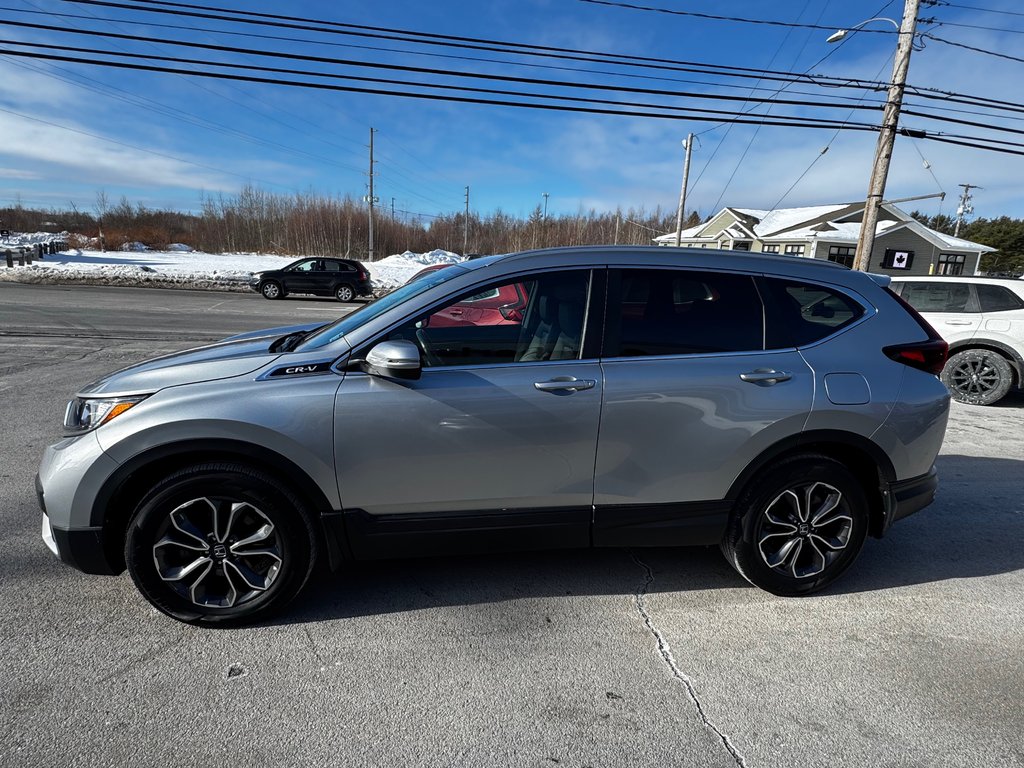 2022 Honda CR-V EX-L in Amherst, Nova Scotia - 5 - w1024h768px