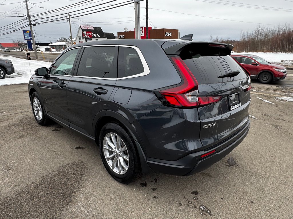 Honda CR-V EX-L 2024 à Amherst, Nouvelle-Écosse - 6 - w1024h768px