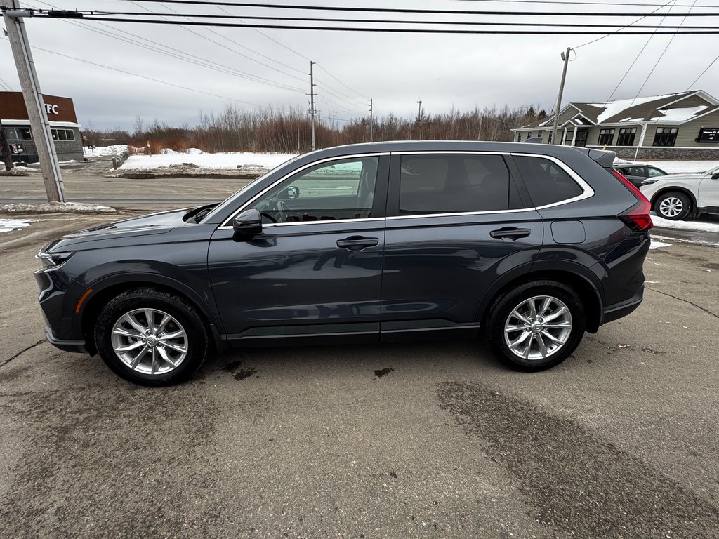 Honda CR-V EX-L 2024 à Amherst, Nouvelle-Écosse - 5 - w1024h768px