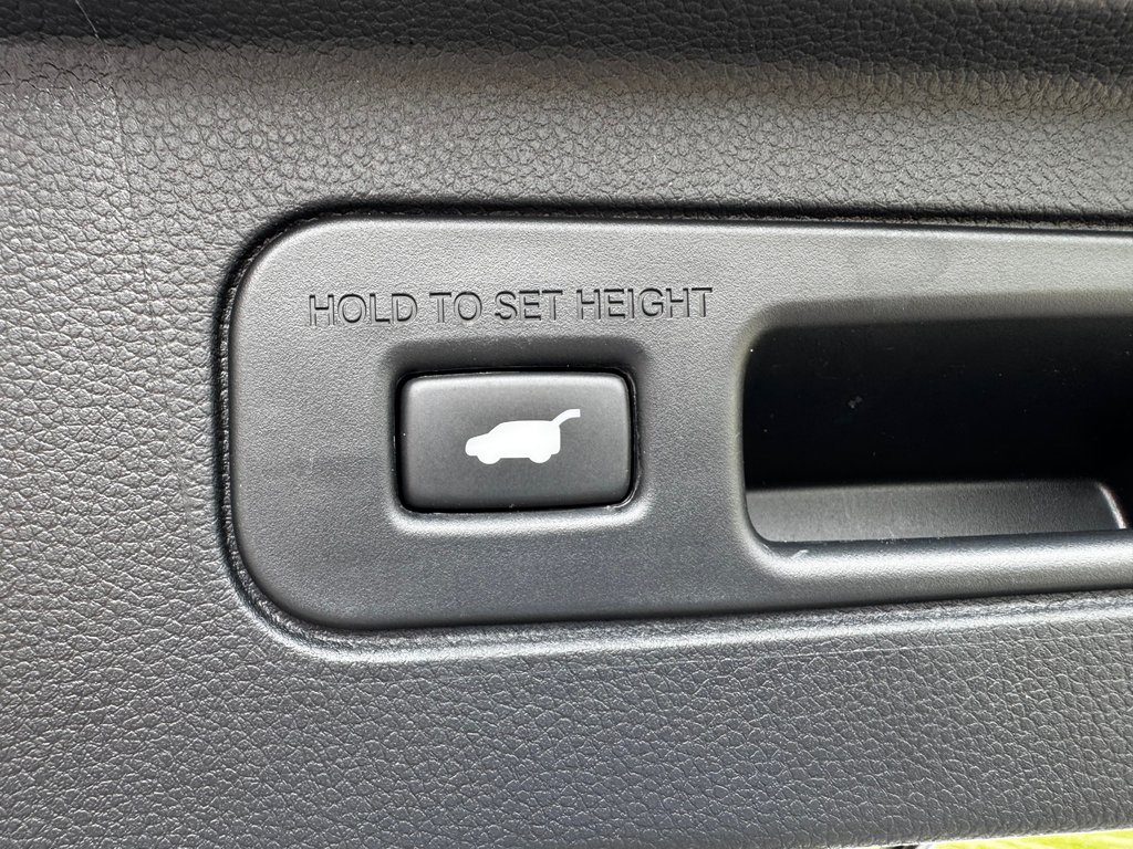 2025 Honda PILOT BLACK EDITION in Amherst, Nova Scotia - 10 - w1024h768px