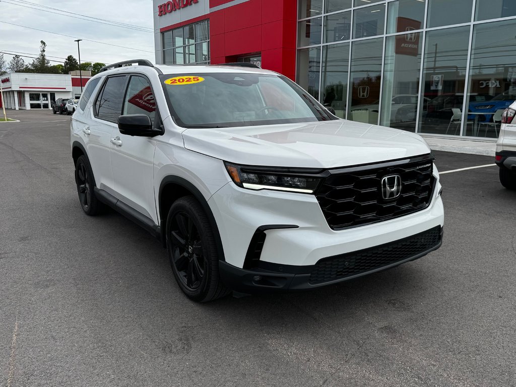 2025 Honda PILOT BLACK EDITION in Amherst, Nova Scotia - 3 - w1024h768px