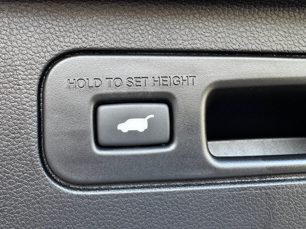 2025 Honda PILOT BLACK EDITION in Amherst, Nova Scotia - 10 - w1024h768px