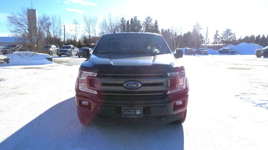 Ford F-150 4WD Super Cab 145'' SWB 2019 à Les Escoumins, Québec - 3 - w1024h768px