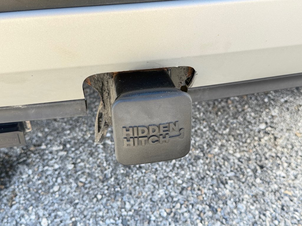 2020 Ford Escape SEL AWD / ATTACHE REMORQUE / TRÈS TRÈS BEAU / in Thetford Mines, Quebec - 25 - w1024h768px