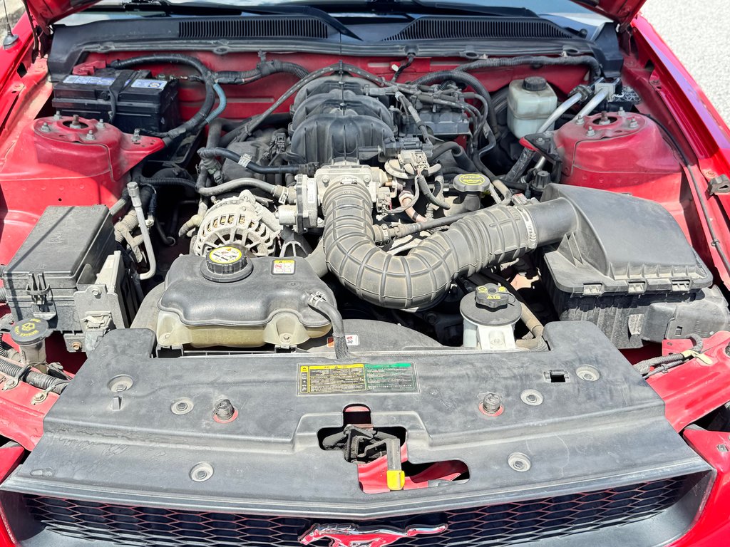 Ford Mustang CONVERTIBLE / ROUGE SUR ROUGE / MOTEUR V6 / MAGS 17 / JAMAIS SORTI L’HIVER 2006 à Thetford Mines, Québec - 45 - w1024h768px