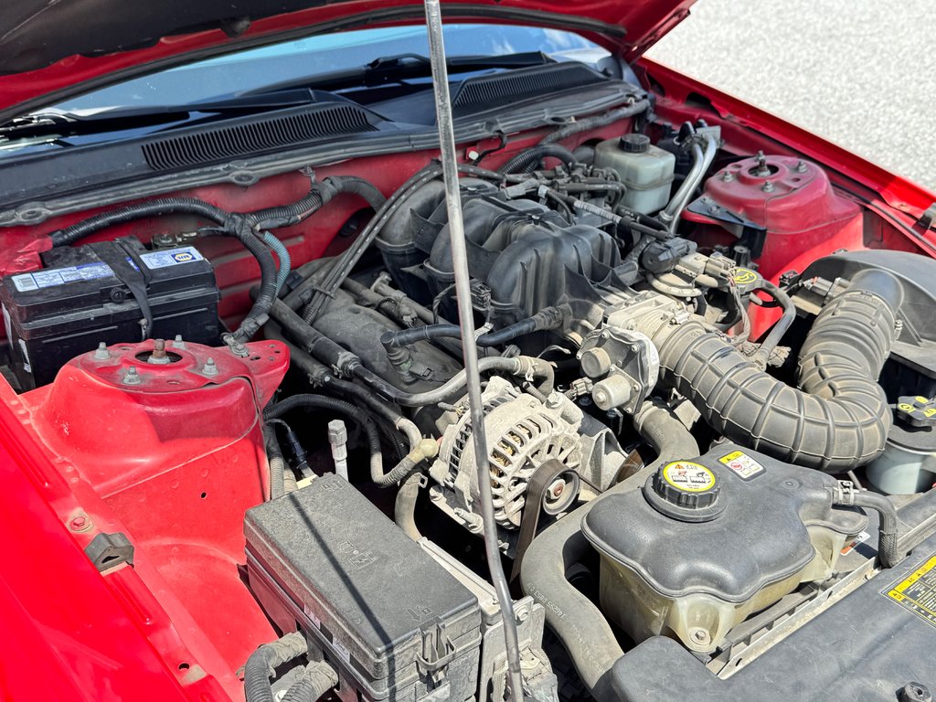 Ford Mustang CONVERTIBLE / ROUGE SUR ROUGE / MOTEUR V6 / MAGS 17 / JAMAIS SORTI L’HIVER 2006 à Thetford Mines, Québec - 47 - w1024h768px