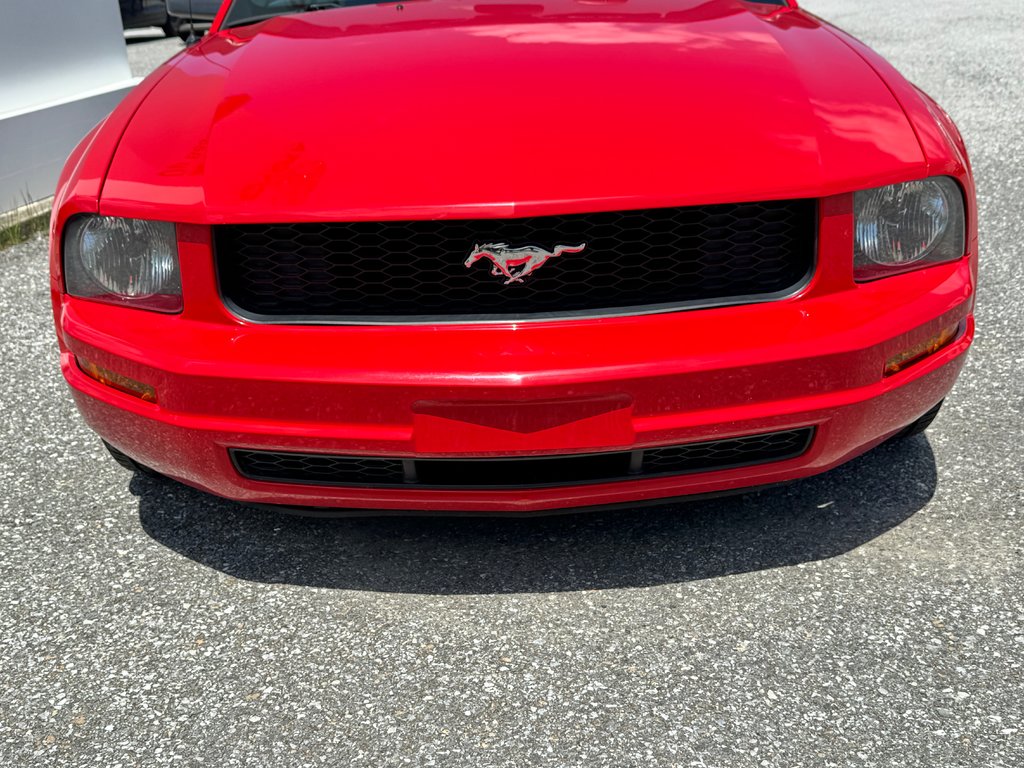 Ford Mustang CONVERTIBLE / ROUGE SUR ROUGE / MOTEUR V6 / MAGS 17 / JAMAIS SORTI L’HIVER 2006 à Thetford Mines, Québec - 13 - w1024h768px