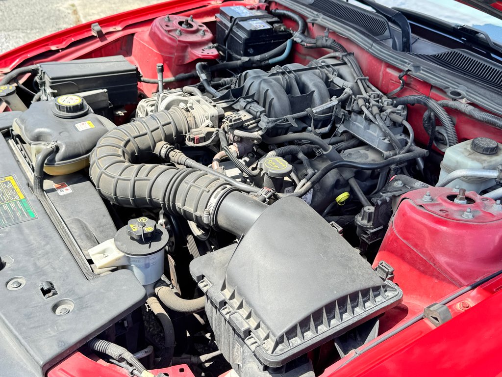 Ford Mustang CONVERTIBLE / ROUGE SUR ROUGE / MOTEUR V6 / MAGS 17 / JAMAIS SORTI L’HIVER 2006 à Thetford Mines, Québec - 48 - w1024h768px