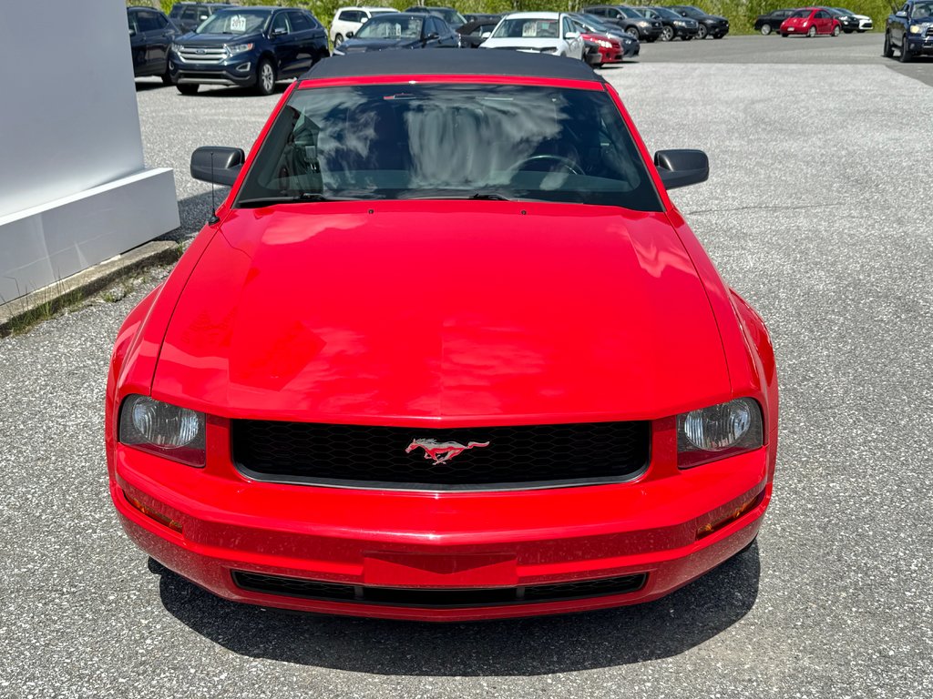 Ford Mustang CONVERTIBLE / ROUGE SUR ROUGE / MOTEUR V6 / MAGS 17 / JAMAIS SORTI L’HIVER 2006 à Thetford Mines, Québec - 50 - w1024h768px