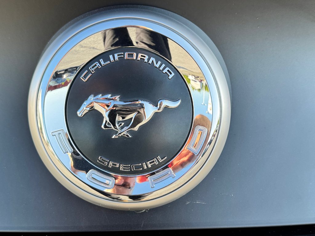Ford Mustang CALIFORNIA SPECIAL / GT-CS / IMPECCABLE / JAMAIS SORTI L’HIVER / 1 SEUL PROPRIETAIRE 2012 à Thetford Mines, Québec - 24 - w1024h768px