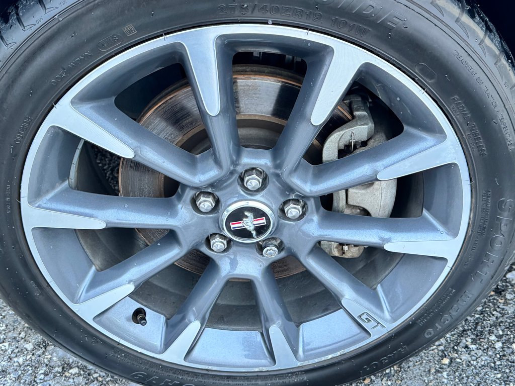 2012 Ford Mustang CALIFORNIA GT-CS / 0 ACCIDENT /  PRIX FIN SAISON  / TOUTES ÉCHANGES ACCEPTÉS / in Thetford Mines, Quebec - 15 - w1024h768px