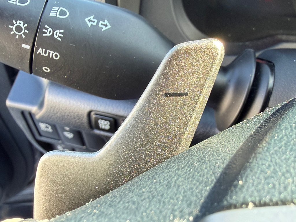 2017 Lexus IS 300 in Thetford Mines, Quebec - 35 - w1024h768px