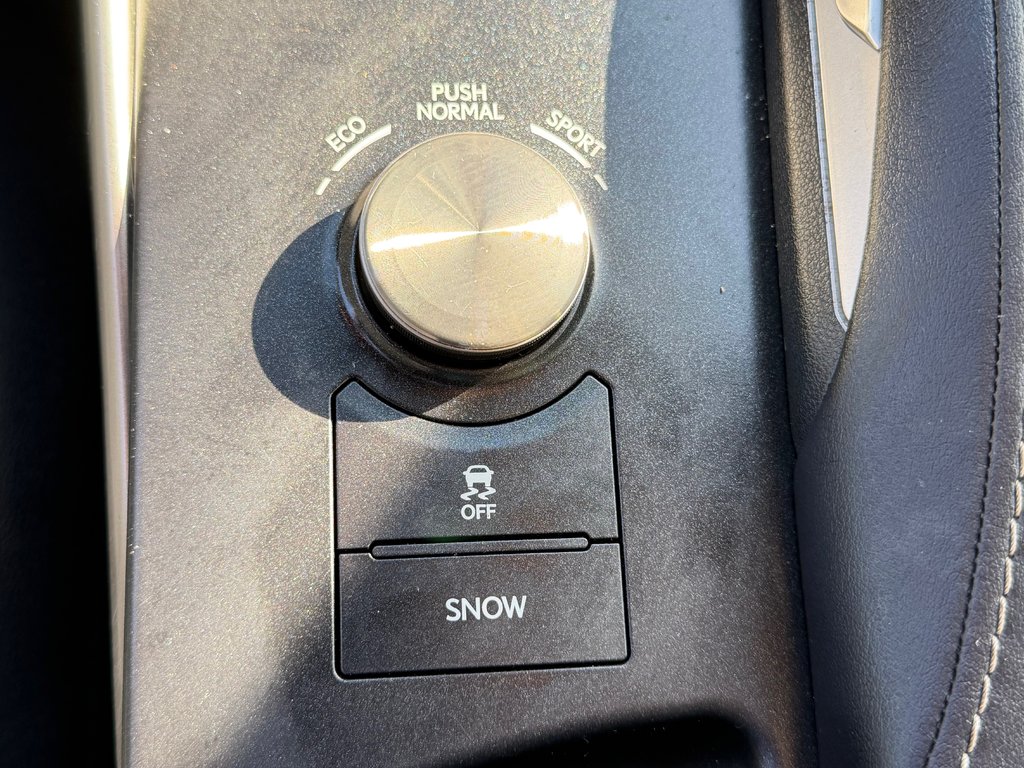 2017 Lexus IS 300 in Thetford Mines, Quebec - 52 - w1024h768px