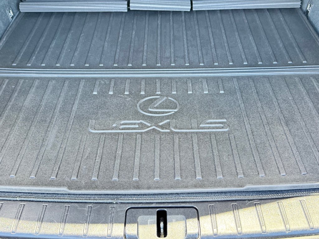 Lexus RX 450h / HYBRIDE / INSPECTÉ / IMPECCABLE / 2020 à Thetford Mines, Québec - 82 - w1024h768px