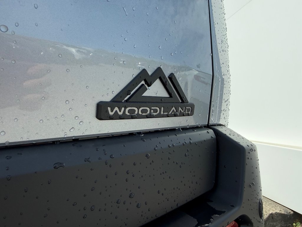 2026 Toyota bZ Woodland in Thetford Mines, Quebec - 18 - w1024h768px