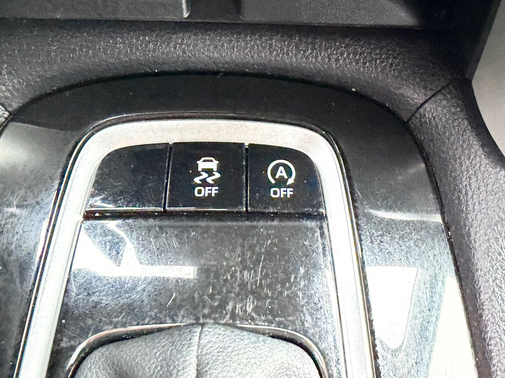 2024 Toyota Corolla Cross XLE AWD / MODÈLE TRÈS BIEN ÉQUIPÉ WOW ! / in Thetford Mines, Quebec - 53 - w1024h768px