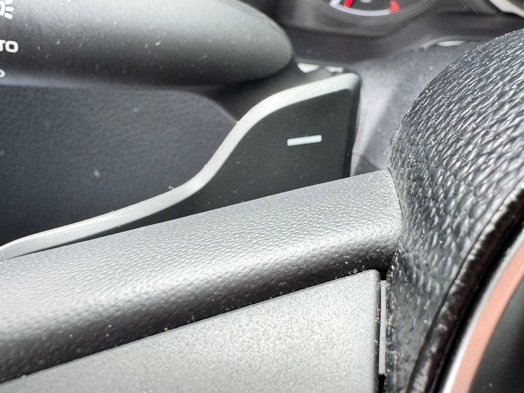 Toyota Corolla Hatchback SE / TRÈS BAS KILOS / COULEUR * TRÈS RARE / 2019 à Thetford Mines, Québec - 36 - w1024h768px
