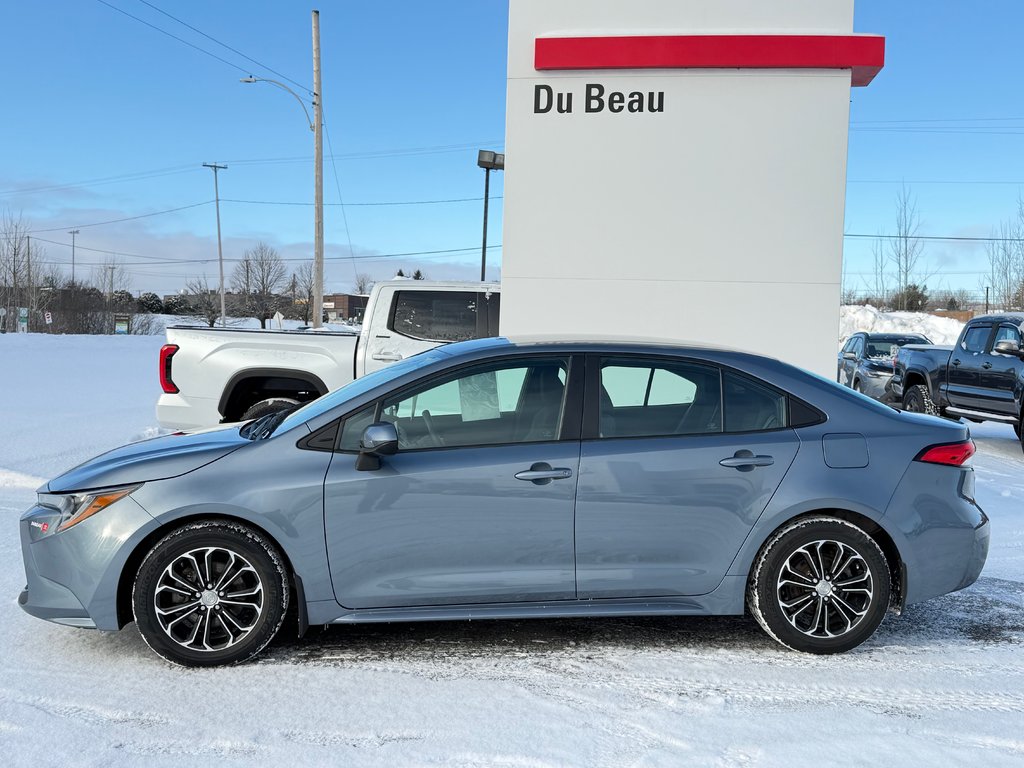 Toyota Corolla LE / AUTOM / MAGS / BAS KILOS / FIABILITÉ / 2021 à Thetford Mines, Québec - 7 - w1024h768px