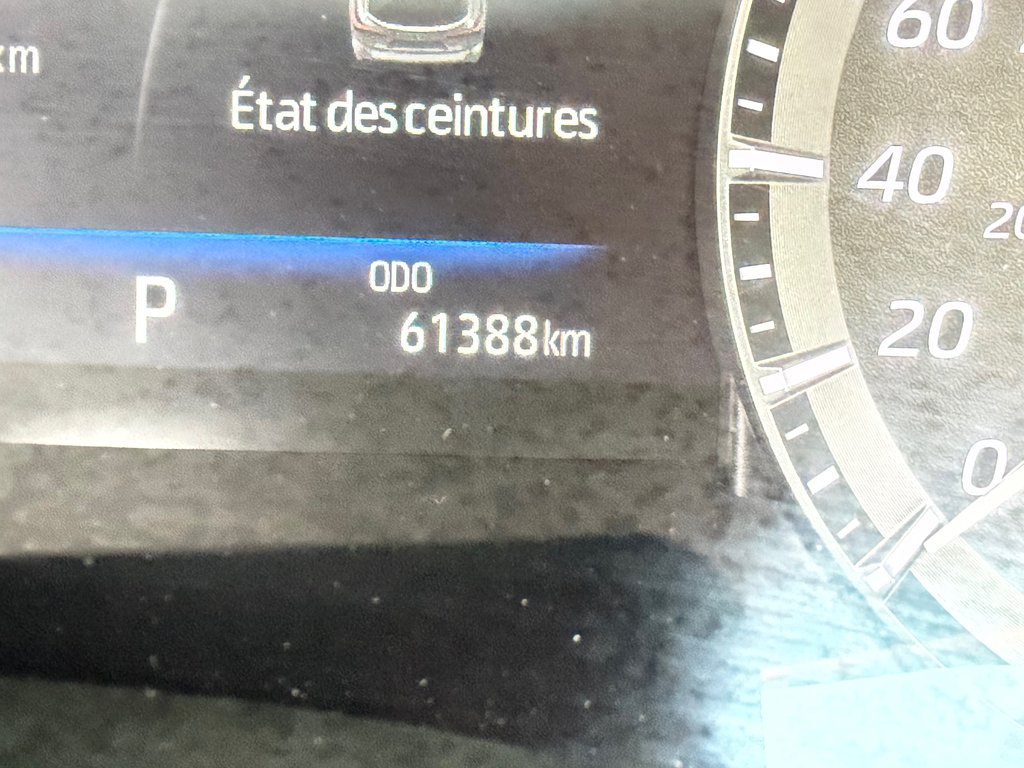 2021 Toyota Highlander XLE AWD / TRÈS BAS KILOS / 8 PASSAGERS / in Thetford Mines, Quebec - 42 - w1024h768px