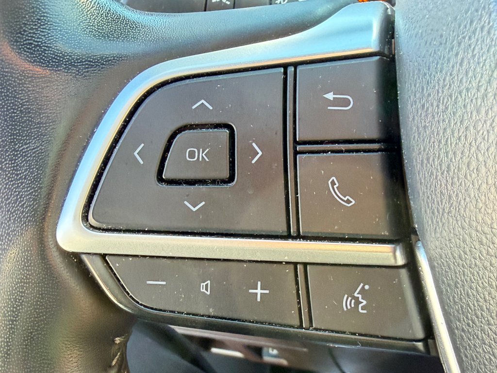Toyota Highlander PLATINUM AWD / LA TOTALE !!! / PAS SORTI L'HIVER / 2022 à Thetford Mines, Québec - 46 - w1024h768px