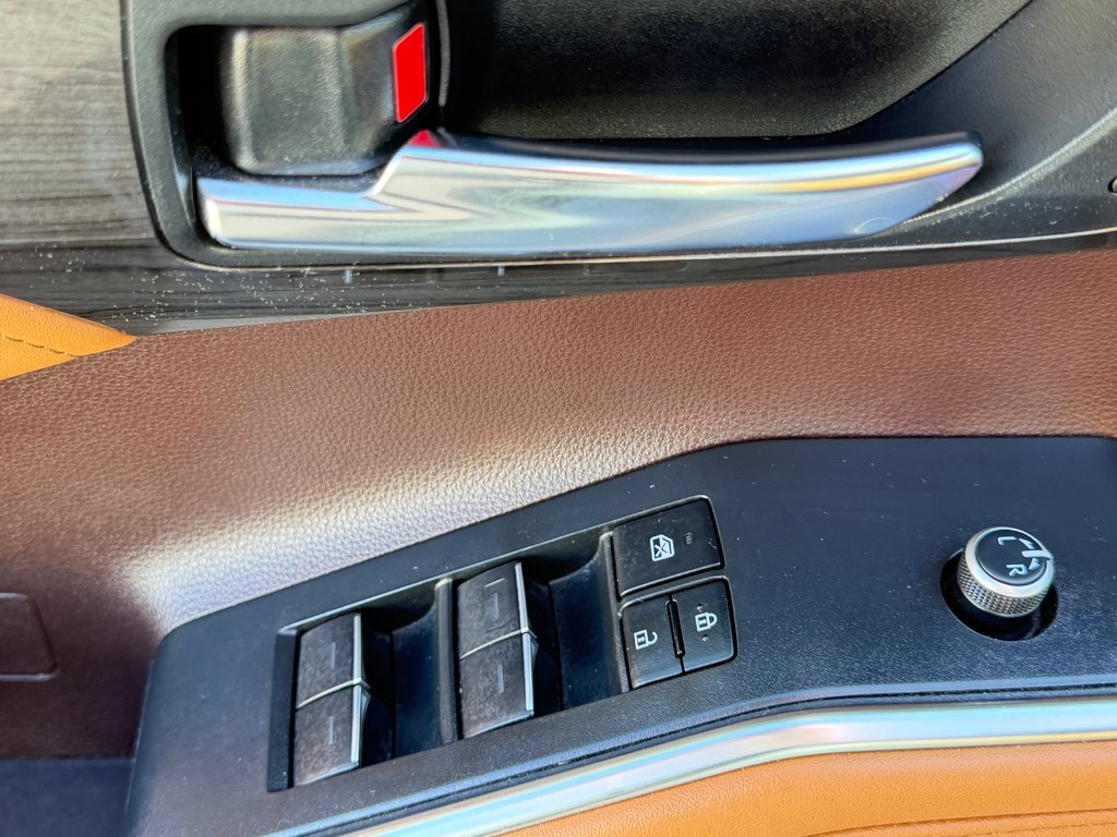 Toyota Highlander PLATINUM AWD / LA TOTALE !!! / PAS SORTI L'HIVER / 2022 à Thetford Mines, Québec - 37 - w1024h768px