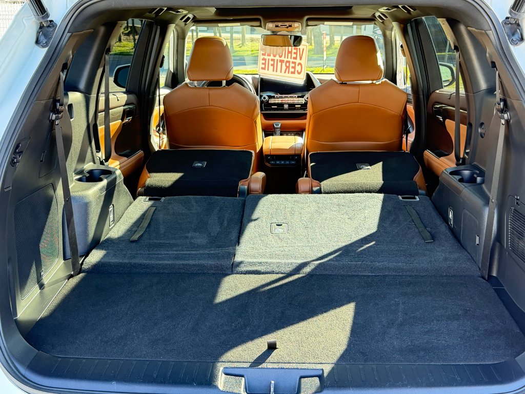 Toyota Highlander PLATINUM AWD / LA TOTALE !!! / PAS SORTI L'HIVER / 2022 à Thetford Mines, Québec - 80 - w1024h768px
