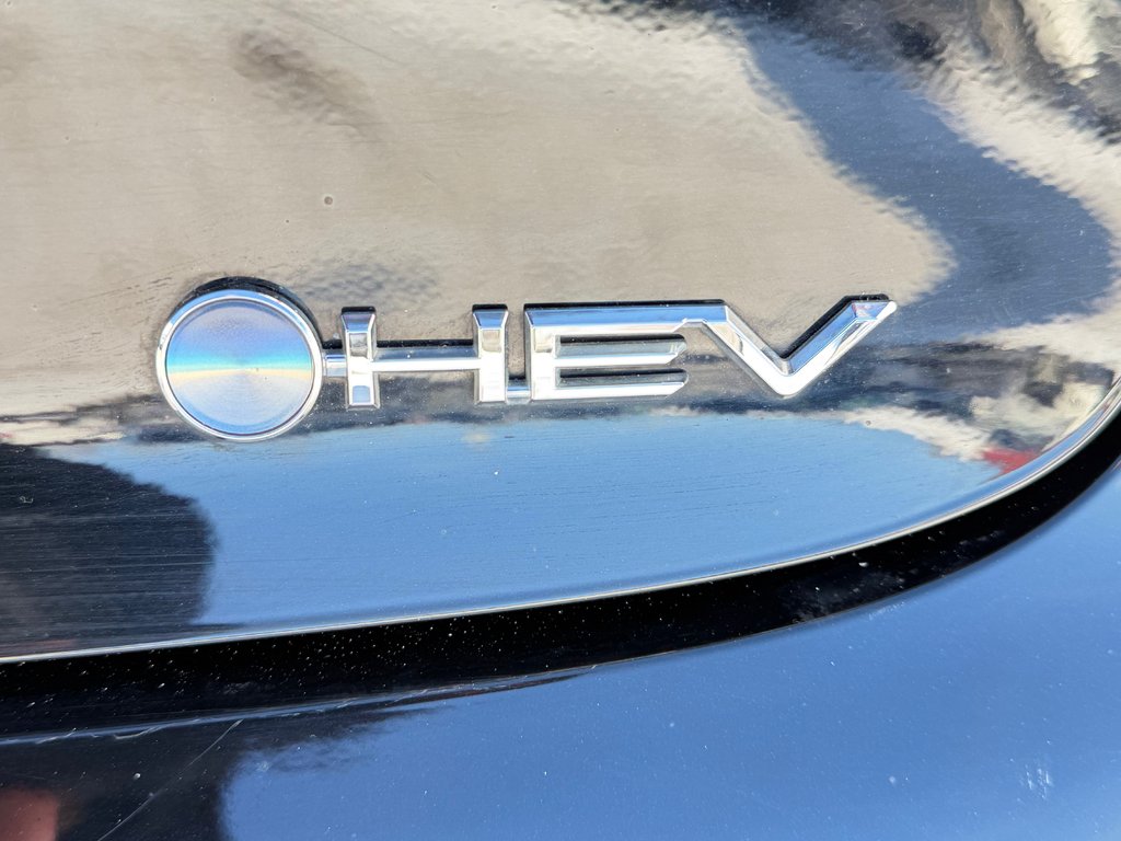 Toyota Prius LIMITED AWD / PEA 13-04-29=100KM / HYPER RARE ! / 2025 à Thetford Mines, Québec - 24 - w1024h768px