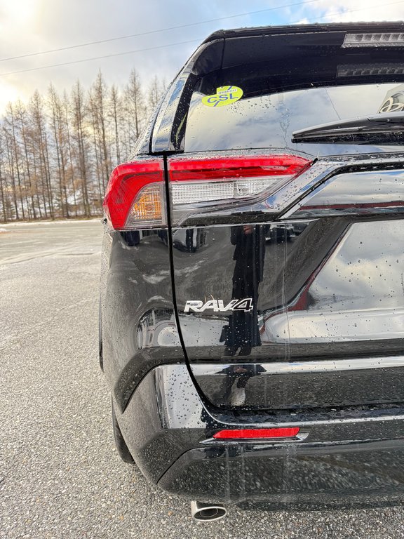 2025 Toyota RAV4 Plug-In Hybrid SE in Thetford Mines, Quebec - 13 - w1024h768px