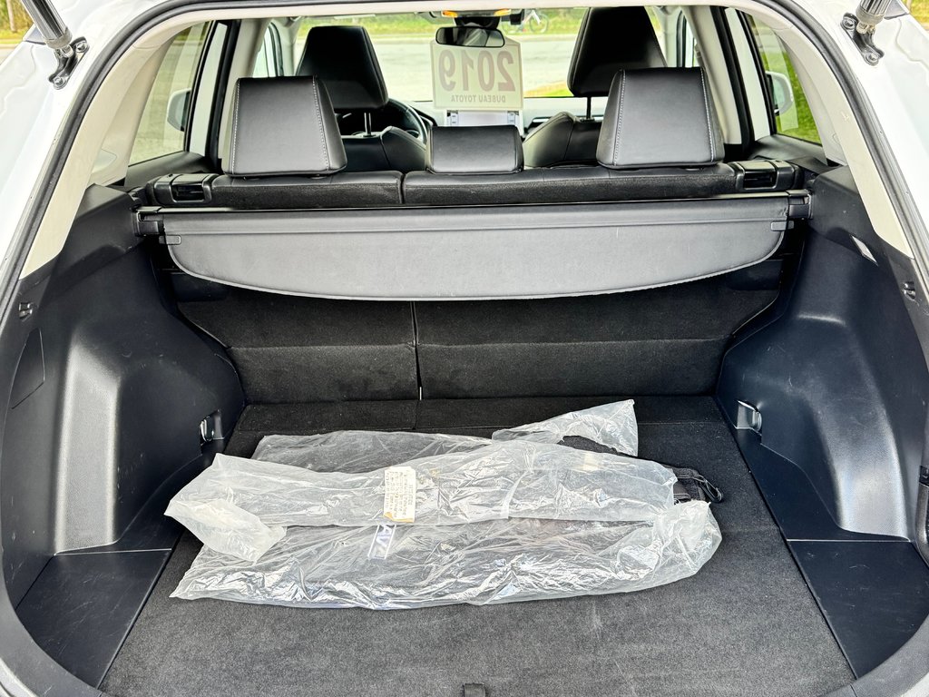 Toyota RAV4 XLE PREMIUM AWD / MAGS 19 / CUIR / 2019 à Thetford Mines, Québec - 64 - w1024h768px