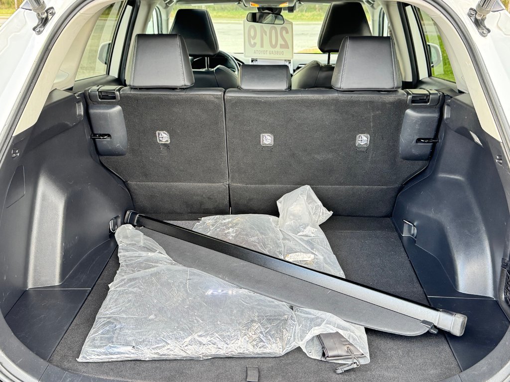 Toyota RAV4 XLE PREMIUM AWD / MAGS 19 / CUIR / 2019 à Thetford Mines, Québec - 66 - w1024h768px