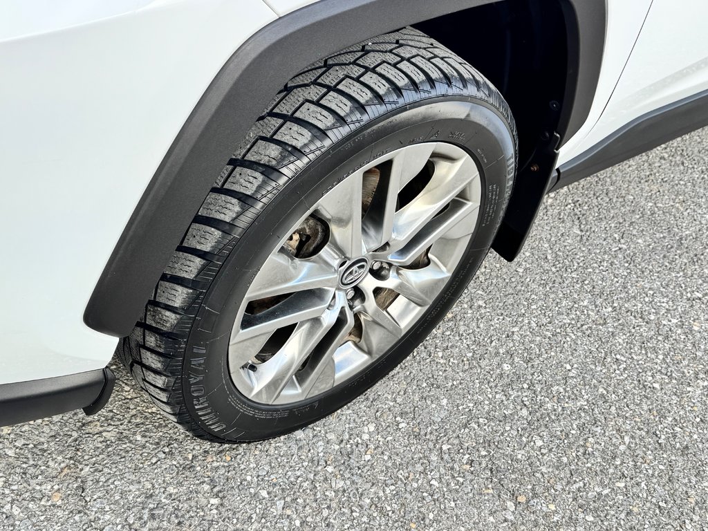 Toyota RAV4 XLE PREMIUM AWD / MAGS 19 / CUIR / 2019 à Thetford Mines, Québec - 16 - w1024h768px