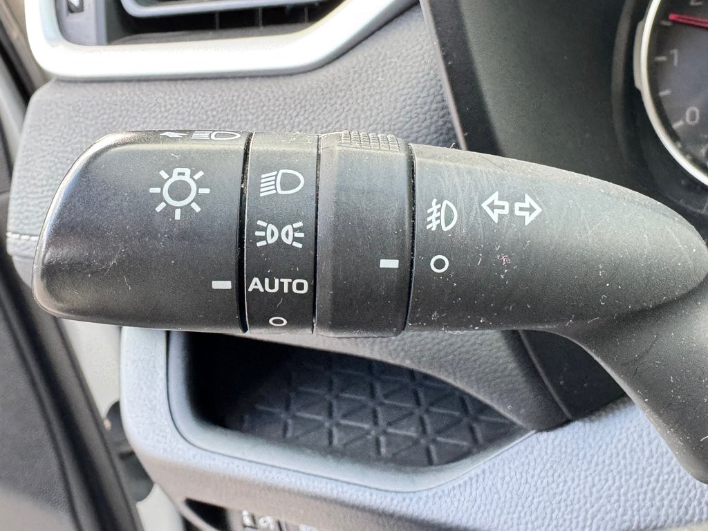 Toyota RAV4 XLE PREMIUM AWD / MAGS 19 / CUIR / 2019 à Thetford Mines, Québec - 37 - w1024h768px