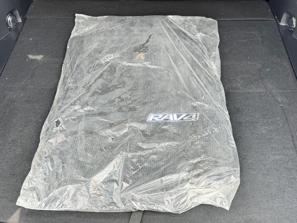 Toyota RAV4 TRAIL AWD / HITCH / MEILLEUR PRIX GARANTIS / 2019 à Thetford Mines, Québec - 71 - w1024h768px