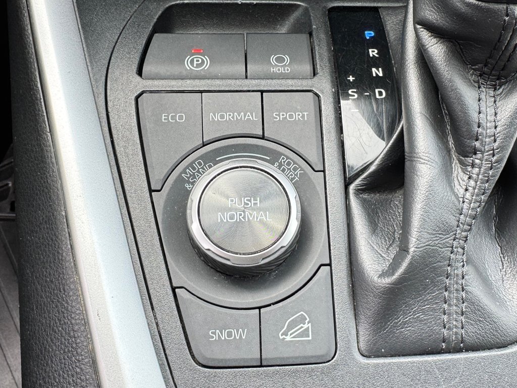 Toyota RAV4 TRAIL AWD / HITCH / MEILLEUR PRIX GARANTIS / 2019 à Thetford Mines, Québec - 55 - w1024h768px