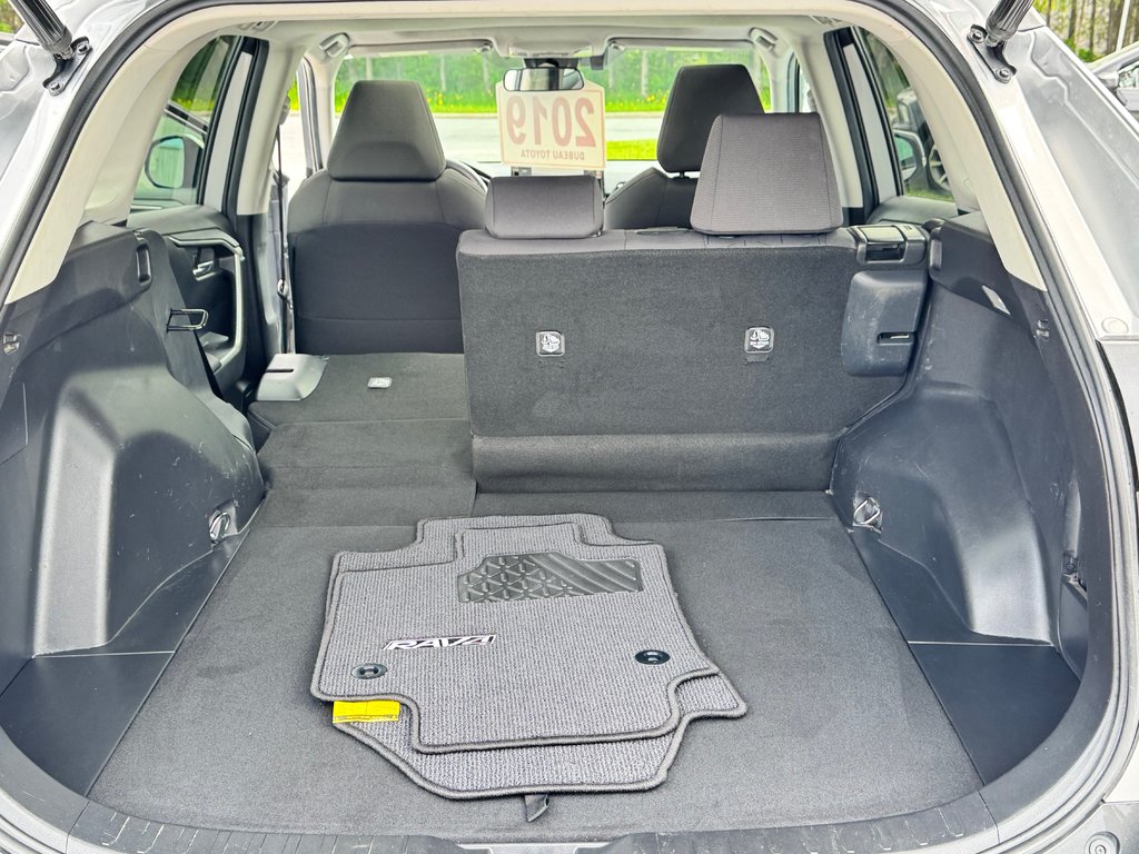 Toyota RAV4 XLE AWD / TRÈS BAS KILOS / FIABILITÉ ASSURÉE / 2019 à Thetford Mines, Québec - 66 - w1024h768px