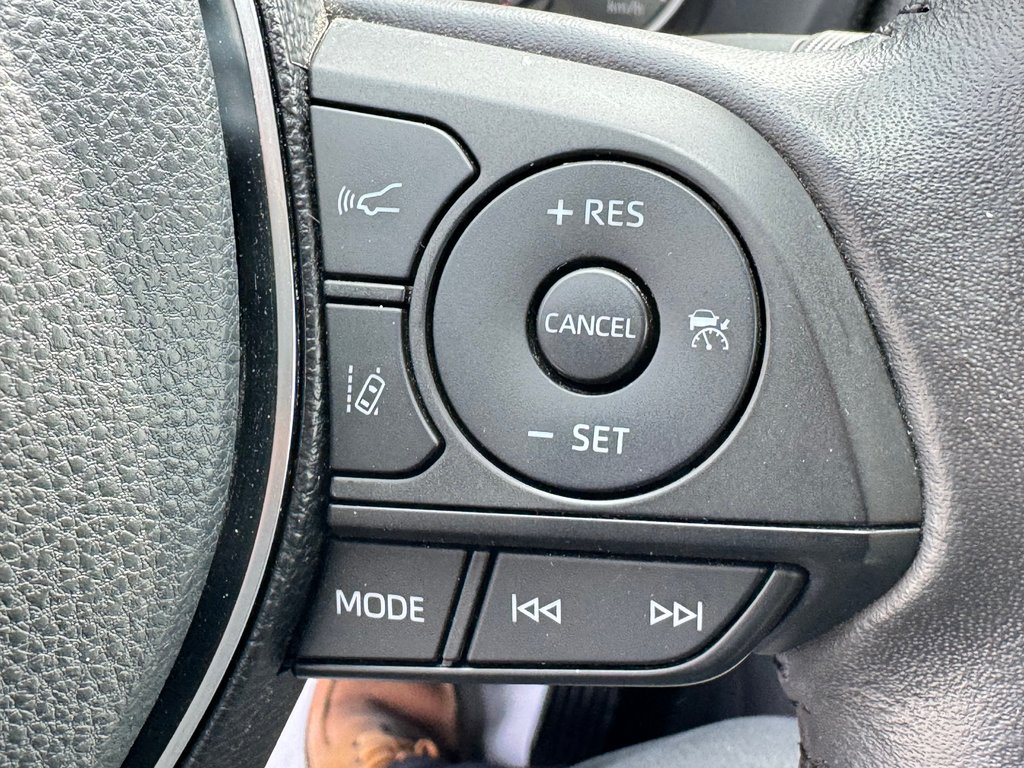Toyota RAV4 XLE AWD / TRÈS BAS KILOS / FIABILITÉ ASSURÉE / 2019 à Thetford Mines, Québec - 41 - w1024h768px