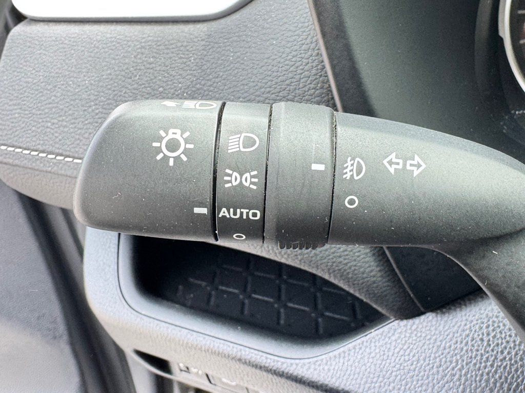 Toyota RAV4 XLE AWD / TRÈS BAS KILOS / FIABILITÉ ASSURÉE / 2019 à Thetford Mines, Québec - 40 - w1024h768px