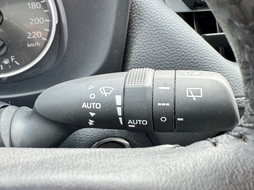 Toyota RAV4 XLE AWD / TRÈS BAS KILOS / FIABILITÉ ASSURÉE / 2019 à Thetford Mines, Québec - 42 - w1024h768px